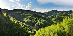 鄉鎮風采